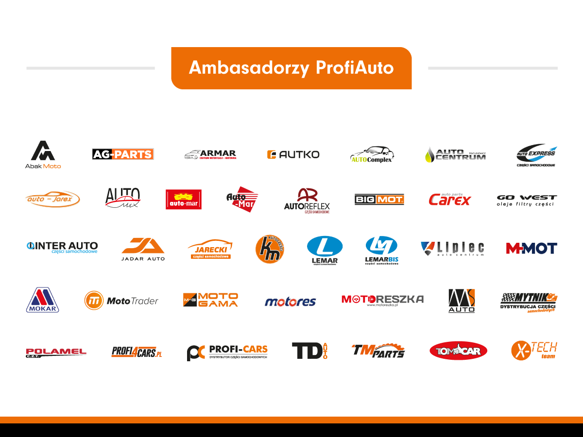 Ambasadorzy-ProfiAuto-1200x900pxv2.png